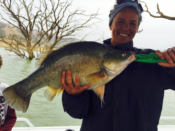 Chris Cleaver with his recently caught and released hybrid cod he likes to call a Murrout (cross between a Murray and trout cod).